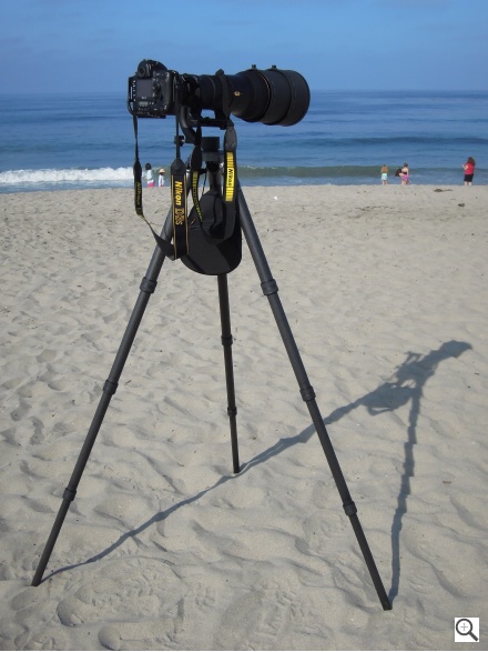 Nikon P300 Sample Image