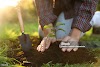 🌿 Botany in 2025 A Career of Purpose, Profit, and Global Possibilities