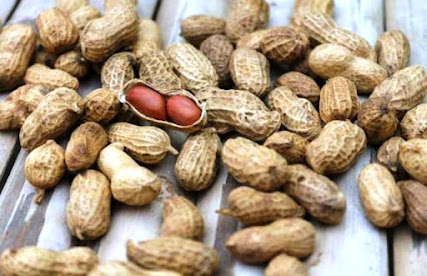 Peanut is considered controlling blood sugar, know how