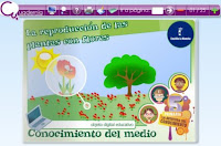 https://repositorio.educa.jccm.es/portal/odes/conocimiento_del_medio/5pc_reproducciondelasflores/