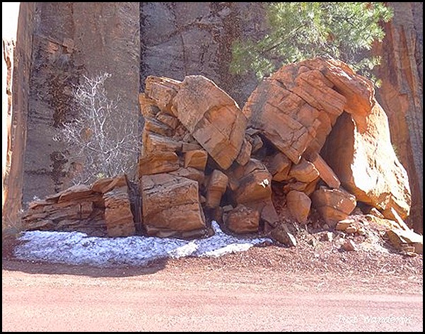 Zion2_8