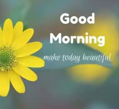 Good Morning Image | Good Morning Flowers 