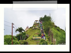 Chocolate Hills