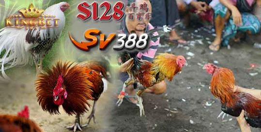 Bandar Sv388 Sabung Ayam Online Aplikasi Terpercaya Di Indonesaia 100% Aman 