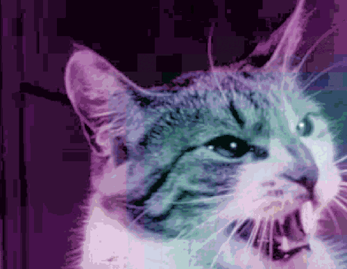 Art Cat GIF • Trippy cat wants moar moar nip. Catnip is a hell of a drug