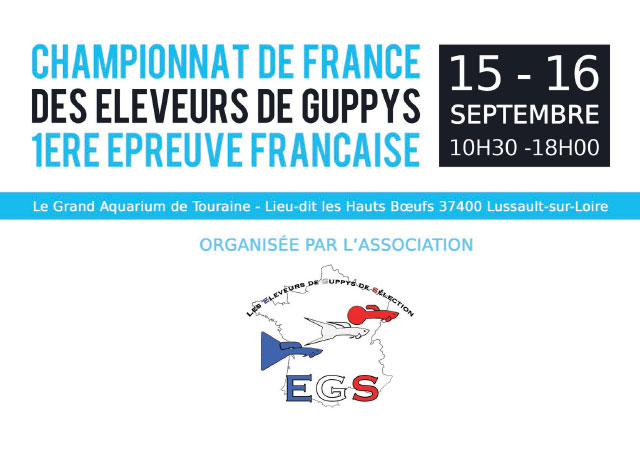 EGS - Championnat de France de Guppys 2018 - [1/2]