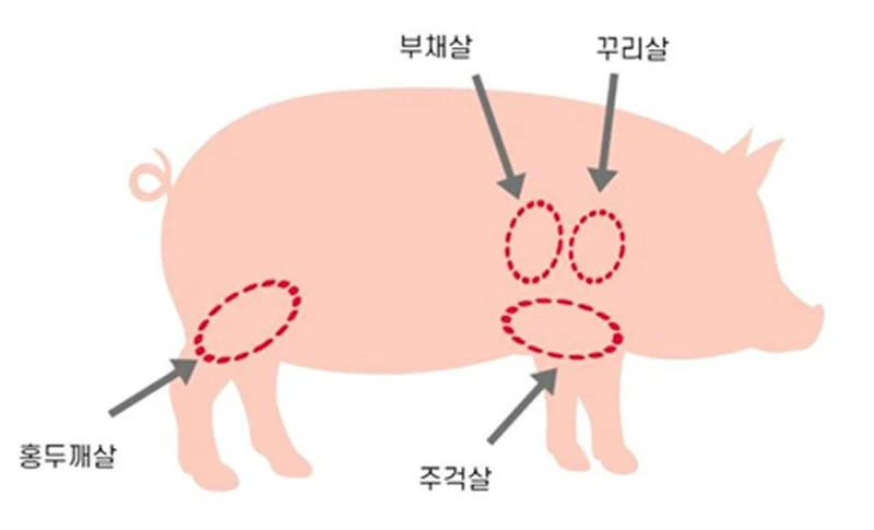 ▲ 앞다리·뒷다리에서 구이로 조리가 가능한 저지방 부위