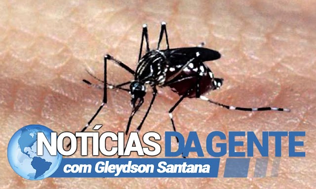 Dengue, zica e chikungunya: Morro do Chapéu não tem larvicida contra aedes aegypti