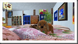 Snapshot_001