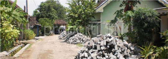 Kondisi umum Desa Bangunrejo lor Pitu