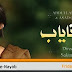 Watch Gohar-e-Nayab Drama Full Episode 16 - 11 October By APlus
