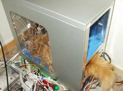 Computer Cat 2