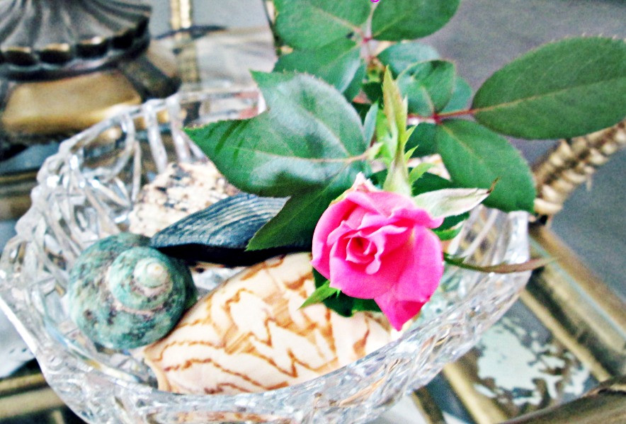 decorating with shells, crystal, roses, summer, tea cart, decor