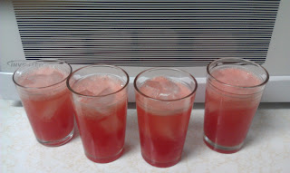 Watermelon Spritzer Drink