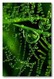 imagini-pentru-smartphone