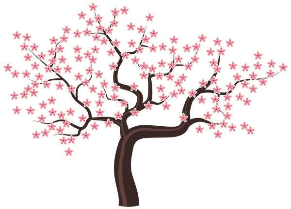  Gambar  PNG  Gambar  Bunga  Sakura 