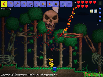 Terraria 02