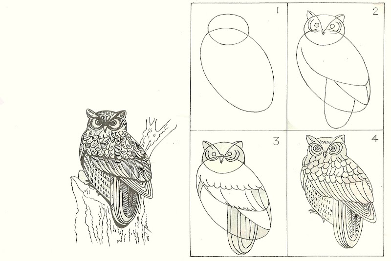 Konsep 34+ Step By Step Drawing Animals