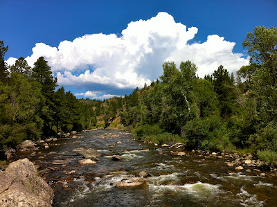 High Park Fire damage 2012 Highway 14, Cache La Poudre river www.thebrighterwriter.blogspot.com