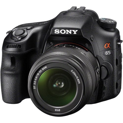 Sony a (alpha) SLT-A65V (A65) 