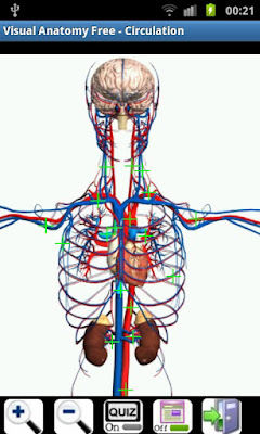 Visual Anatomy Free