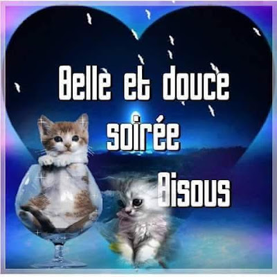 image bonne soirée bisous