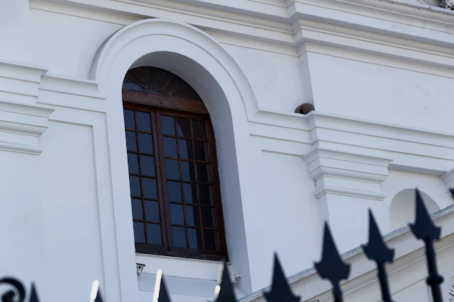 Nido de hornero en Iglesia del Pilar