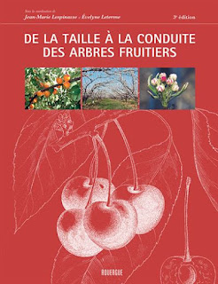 De la taille à la conduite des arbres fruitiers