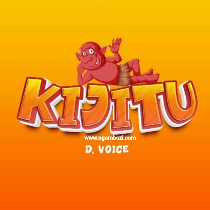 Download Audio : D Voice - Kijitu Mp3