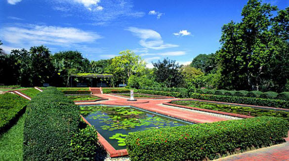 beautiful greenery garden photography