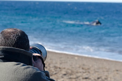  Documentalista de visita en Península Valdés