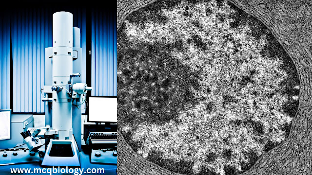 Multiple Choice Questions on Electron Microscope