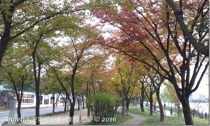 SuseongMotLake-23 SuseongMotLake-23