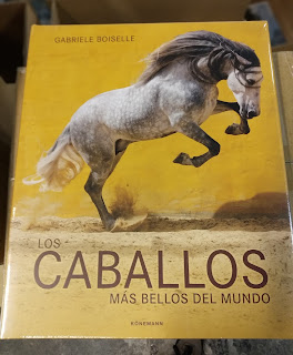 Los caballos más bellos del mundo