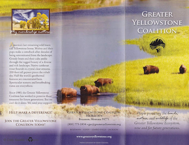 Brochure Yellowstone3