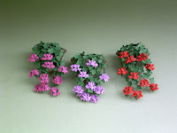 Ivy Geraniums