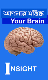 Brain Function | Brain | Brain Work | Brain Information