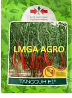 CMK Tangguh,cmk,tangguh,cabe keriting,lmga agro