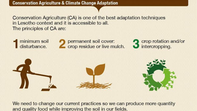 Agroecosystem Management
