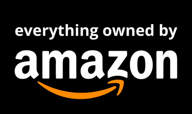 Every Company Amazon Owns