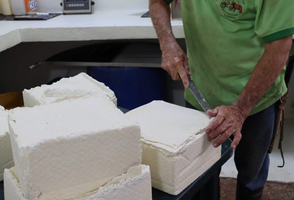 Sector lácteo destina 87% de la producción para elaborar queso
