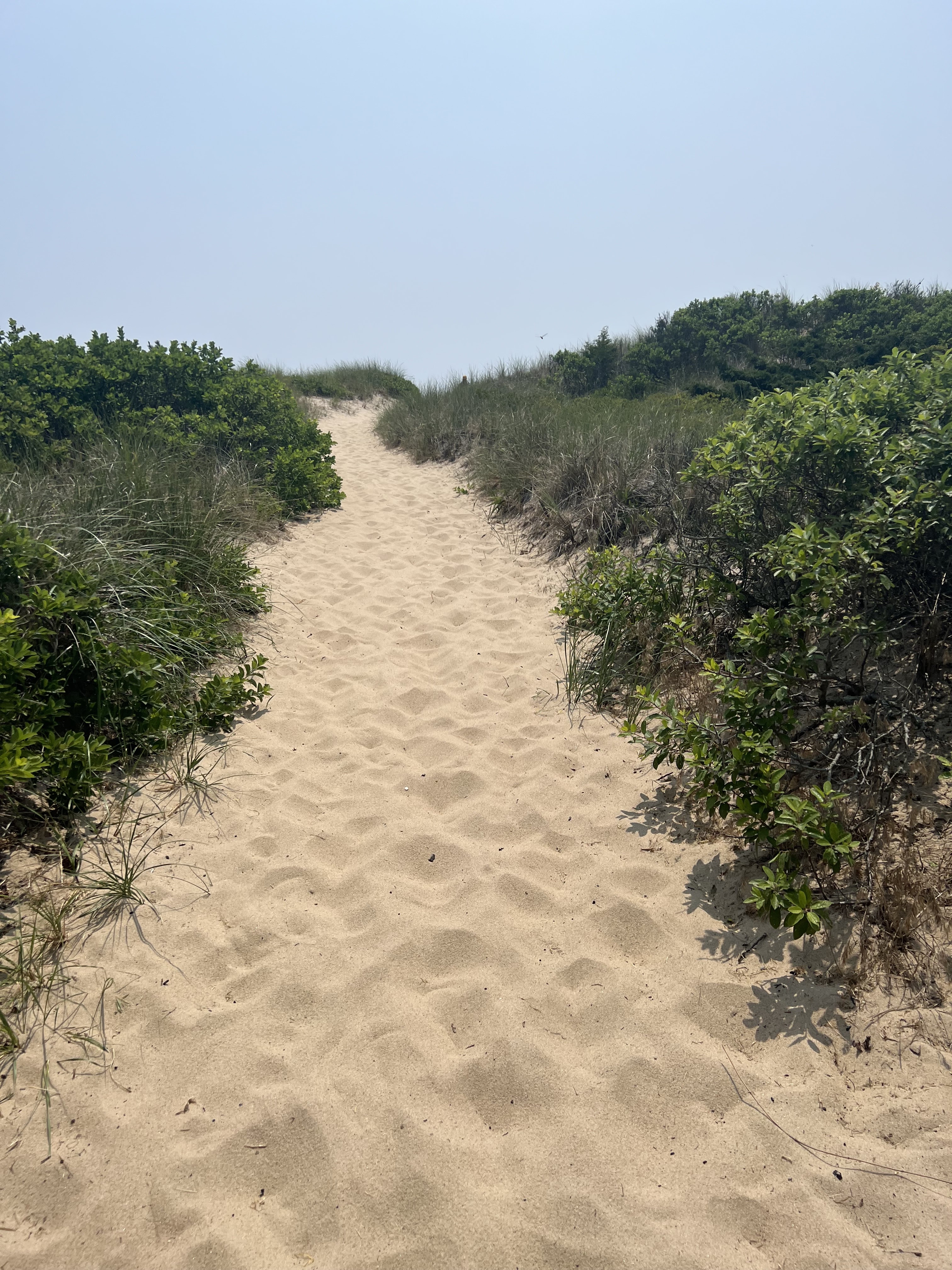 long island, east hampton, east hampton beach, east hampton travel guide, travel guide