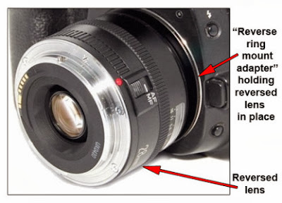 pasang lens terbalik dengan Reverse Ring makro