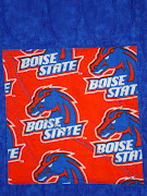 BOISE STATE QUILT