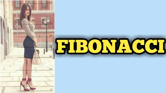 Fibonacci Pertama kali dikembangkan oleh Leonardo di Pisa, atau dikenal sebagai Leonardo Leonardo da Pisa atau Leonardo Pisano (1175 - 1250), dikenal juga sebagai Fibonacci, adalah seorang matematikawan Italia yang dikenal sebagai penemu bilangan Fibonacci dan perannya dalam mengenalkan sistem penulisan dan perhitungan bilangan Arab ke dunia Eropa (algorisma).   Fibonacci menulis buku Liber Abaci setelah terinspirasi pada kunjungannya ke Bugia, suatu kota yang sedang tumbuh di Aljazair. Ketika ayahnya bertugas di sana, seorang ahli matematika Arab memperlihatkan keajaiban sistem bilangan Hindu-Arab.  Deret bilangan Fibbonacci yaitu: 0, 1, 1, 2, 3, 5, 8, 13, 21, 34, 55, 89, 144, 233, 377, 610, 987 …