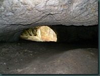 DSCN8475
