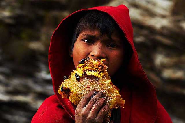 Orang yang Memakan Madu Ini Bisa Jadi Gila