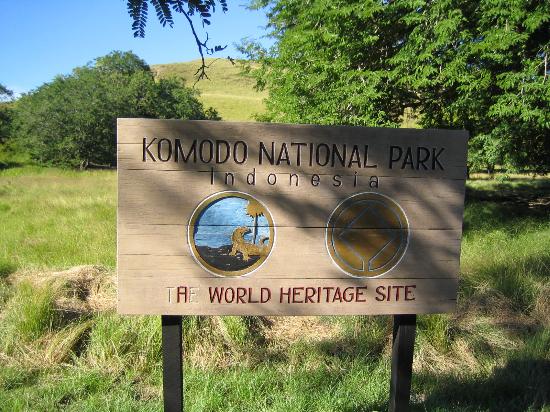 welcome to pulau komodo