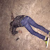 BANDIDO MORRE EM TROCA DE TIROS COM A POLÍCIA RODOVIÁRIA FEDERAL NA BR 232 EM BEZERROS. NA MADRUGADA DESTA SEGUNDA-FEIRA (19) A POLÍCIA RODOVIÁRIA FEDERAL ESTAVA REALIZANDO O PATRULHAMENTO DAS RODOVIAS FEDERAIS QUE CORTAM O AGRESTE PERNAMBUCANO E AO PASSAR PELO BAIRRO ENCRUZILHADA DE SÃO JOÃO EM BEZERROS, MAIS ADIANTE SE DEPAROU COM UM ELEMENTO NA ENTRADA DO SÍTIO SAPUCARANA O MARGINAL ATIROU DUAS VEZES CONTRA O POLICIAMENTO, MAS NO REVIDE DOS FEDERAIS FOI ATINGIDO COM UM TIRO NA CABEÇA E TOMBOU SEM VIDA NO LOCAL.