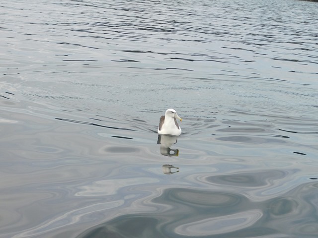 DSCN7309